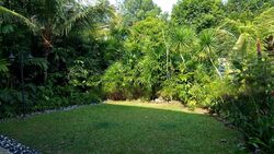 Bukit Timah Road (D10), Detached #498248791